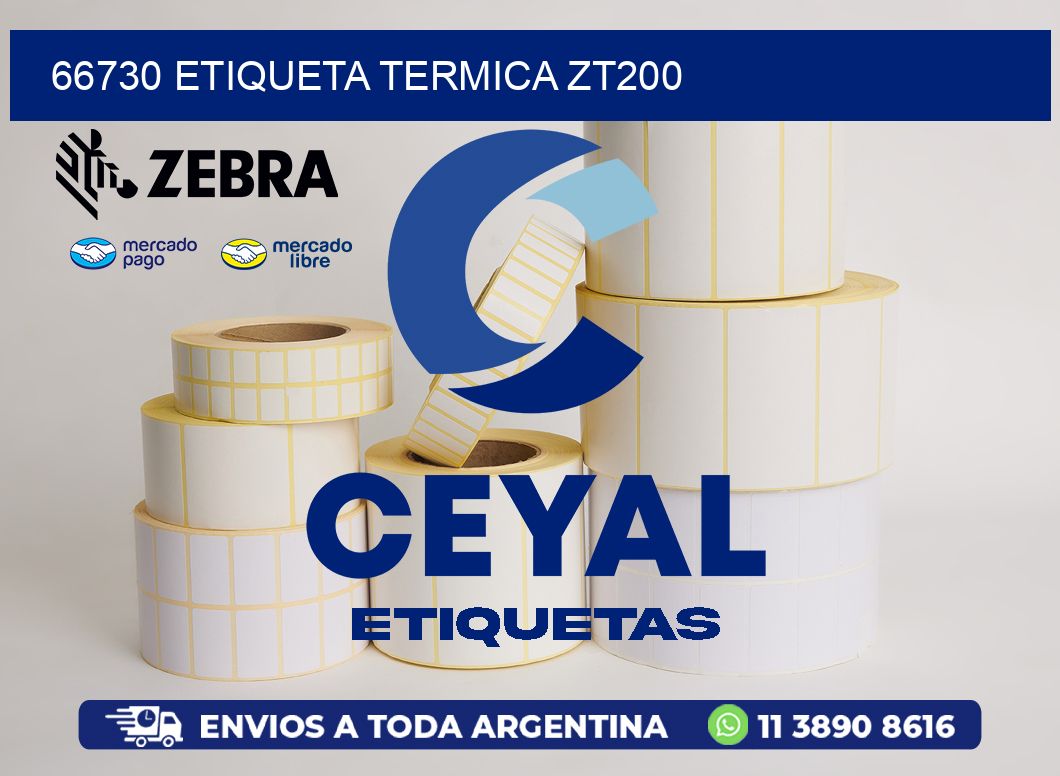 66730 ETIQUETA TERMICA ZT200
