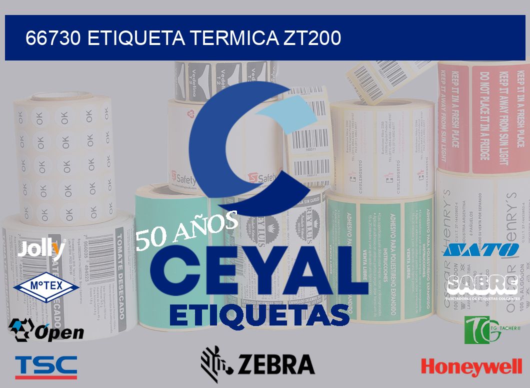 66730 ETIQUETA TERMICA ZT200