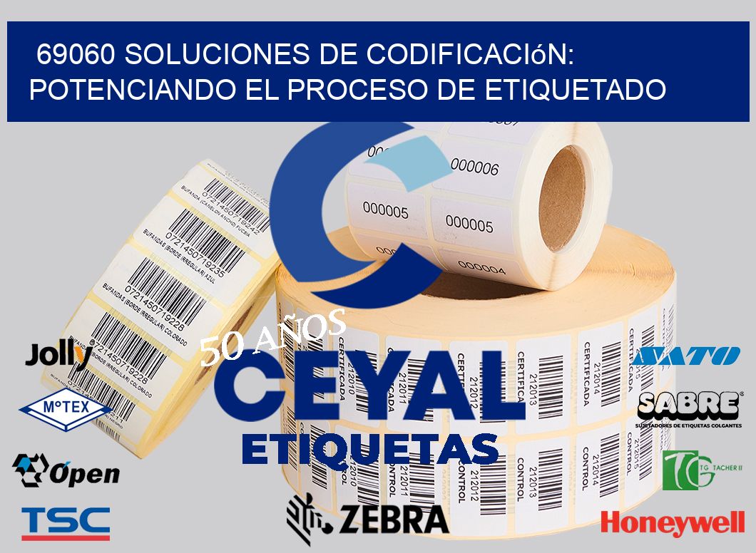 69060 Soluciones de Codificación: Potenciando el Proceso de Etiquetado