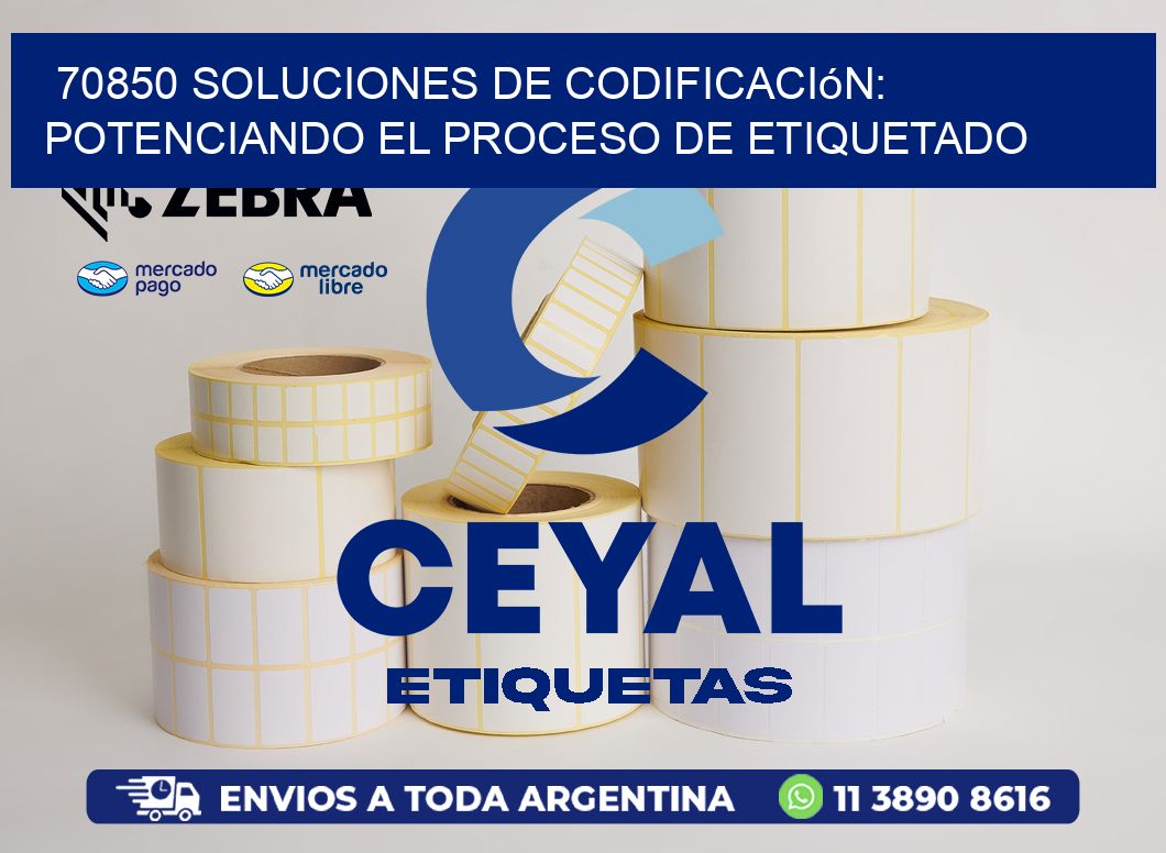 70850 Soluciones de Codificación: Potenciando el Proceso de Etiquetado