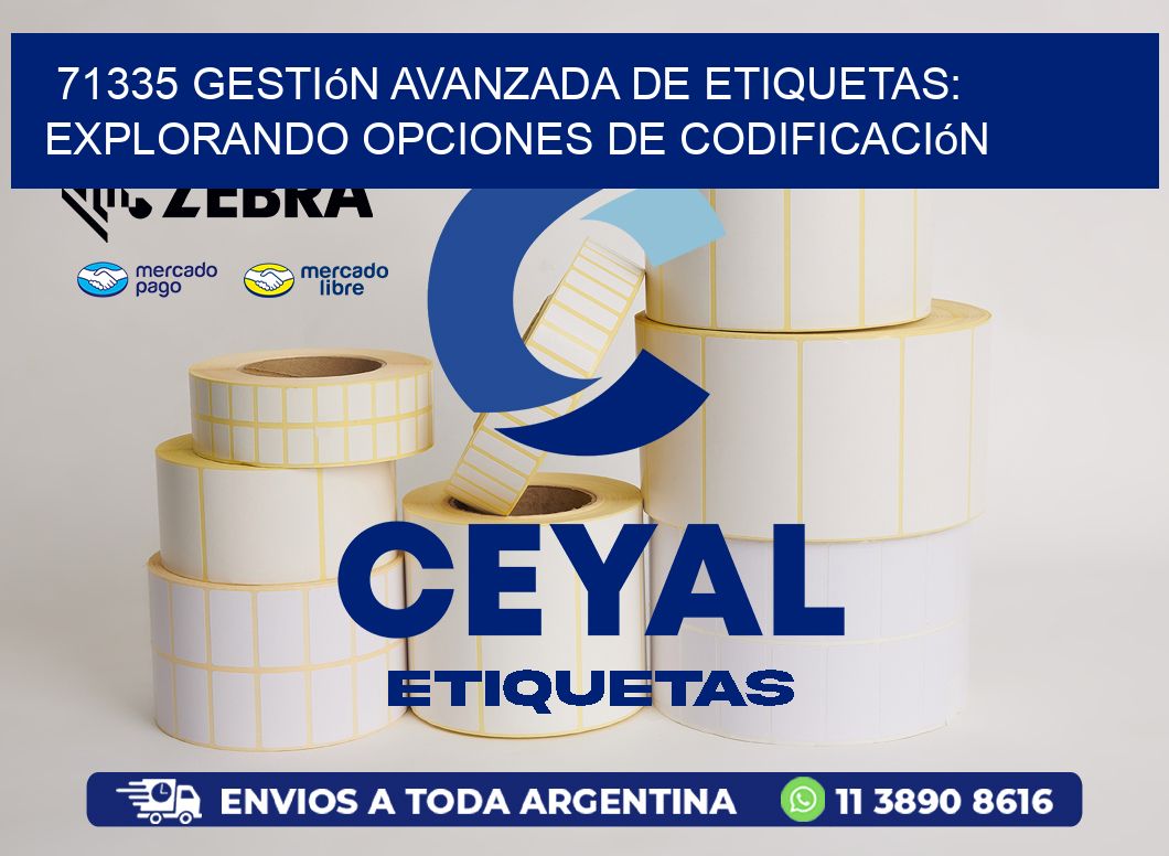 71335 Gestión Avanzada de Etiquetas: Explorando Opciones de Codificación