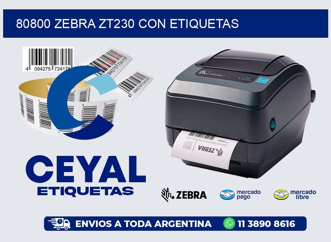80800 Zebra ZT230 con Etiquetas