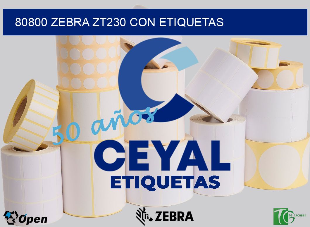 80800 Zebra ZT230 con Etiquetas