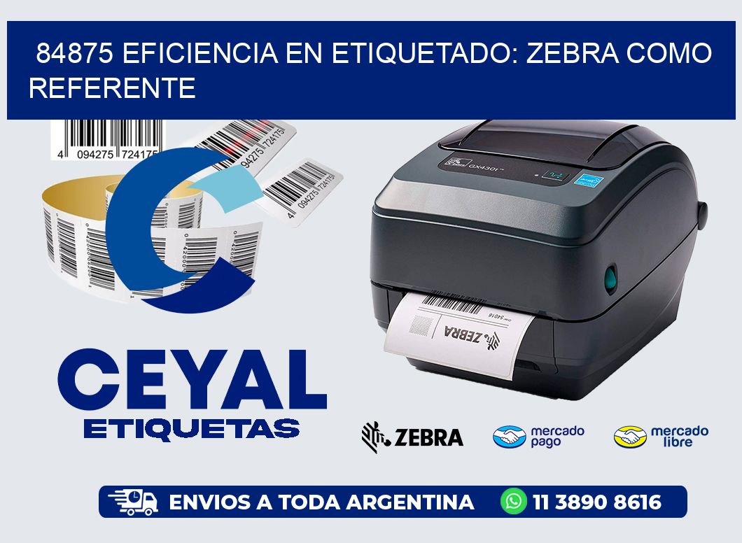 84875 Eficiencia en Etiquetado: Zebra como Referente