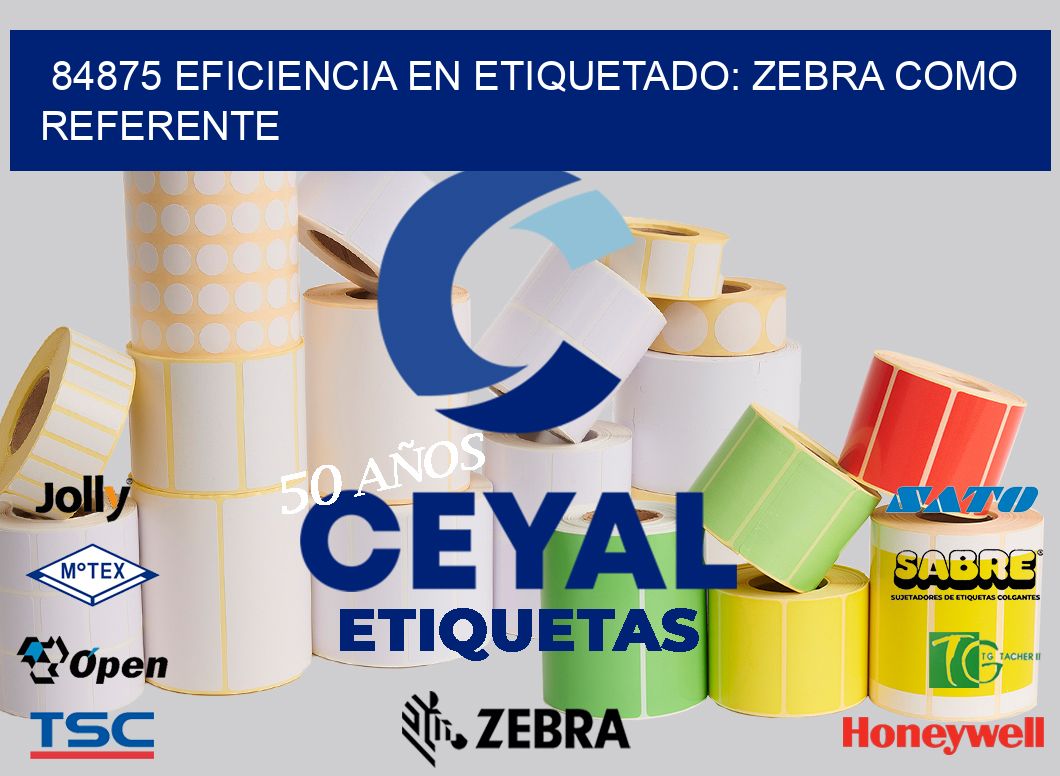 84875 Eficiencia en Etiquetado: Zebra como Referente