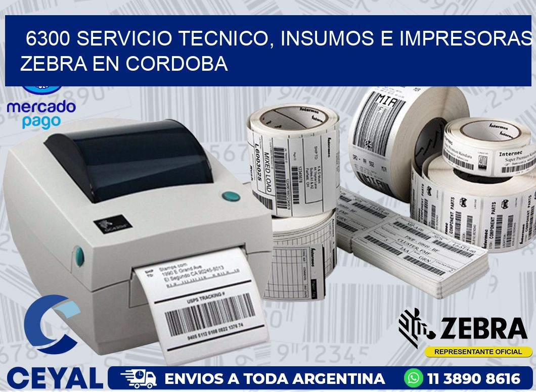 6300 SERVICIO TECNICO, INSUMOS E IMPRESORAS ZEBRA EN CORDOBA