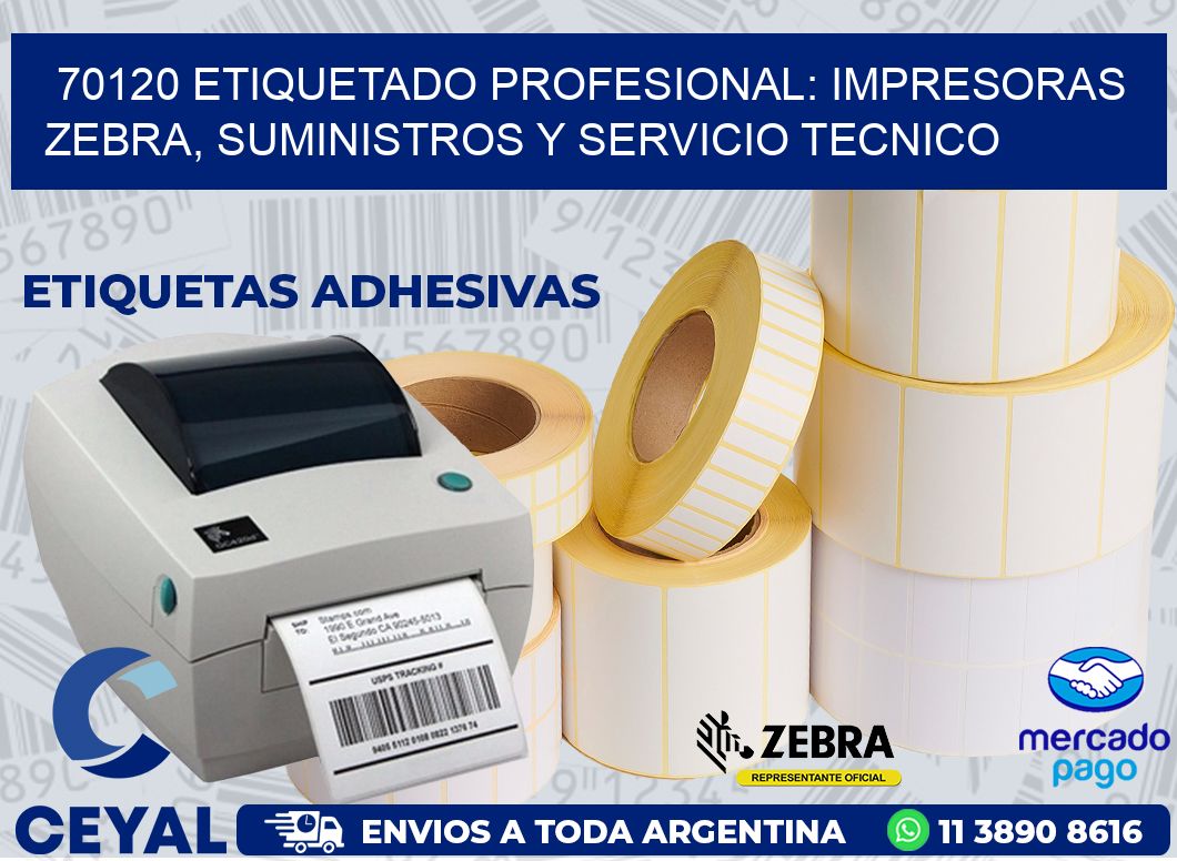 70120 ETIQUETADO PROFESIONAL: IMPRESORAS ZEBRA, SUMINISTROS Y SERVICIO TECNICO