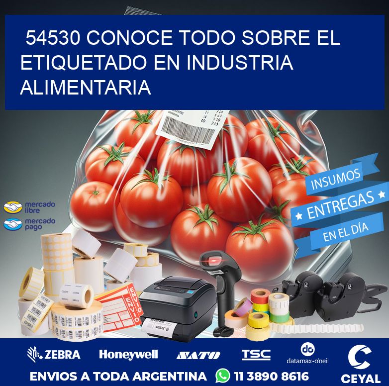 54530 CONOCE TODO SOBRE EL ETIQUETADO EN INDUSTRIA ALIMENTARIA