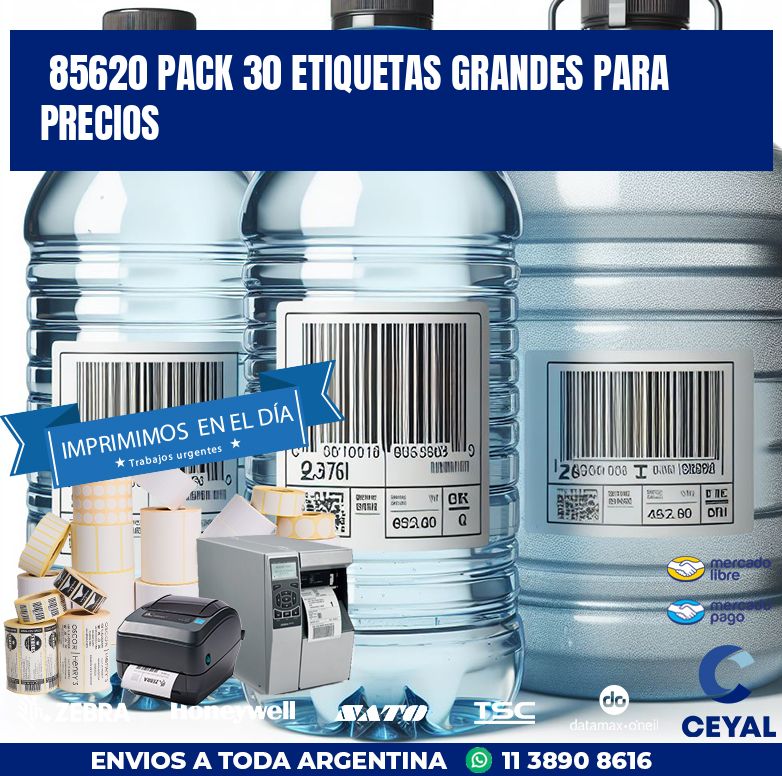 85620 PACK 30 ETIQUETAS GRANDES PARA PRECIOS