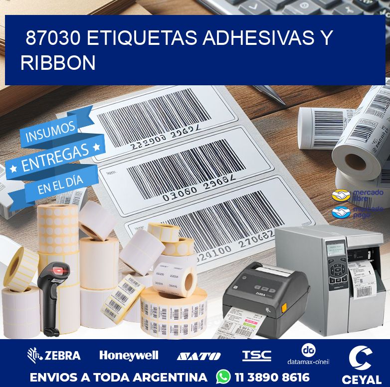 87030 ETIQUETAS ADHESIVAS Y RIBBON
