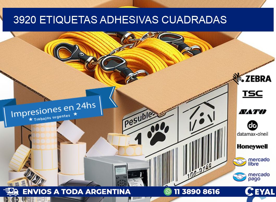 3920 ETIQUETAS ADHESIVAS CUADRADAS