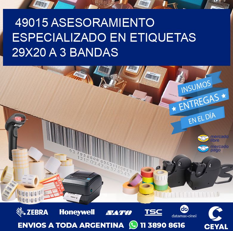 49015 ASESORAMIENTO ESPECIALIZADO EN ETIQUETAS 29X20 A 3 BANDAS