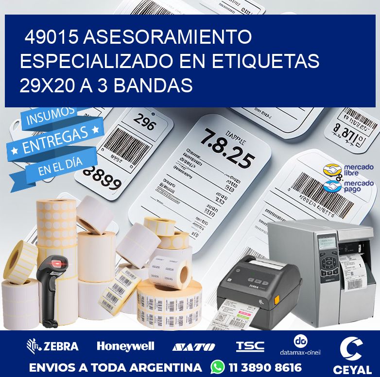 49015 ASESORAMIENTO ESPECIALIZADO EN ETIQUETAS 29X20 A 3 BANDAS