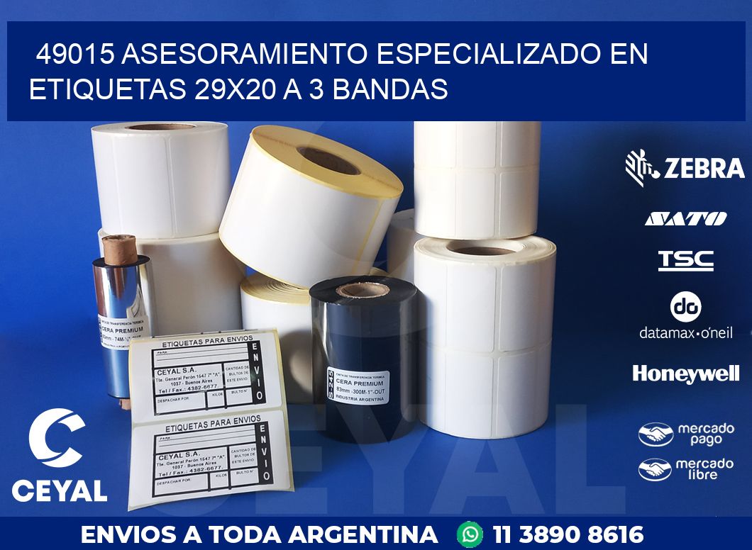 49015 ASESORAMIENTO ESPECIALIZADO EN ETIQUETAS 29X20 A 3 BANDAS