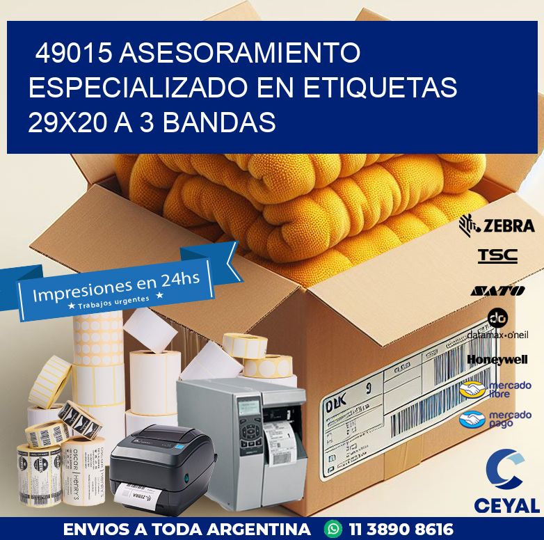 49015 ASESORAMIENTO ESPECIALIZADO EN ETIQUETAS 29X20 A 3 BANDAS