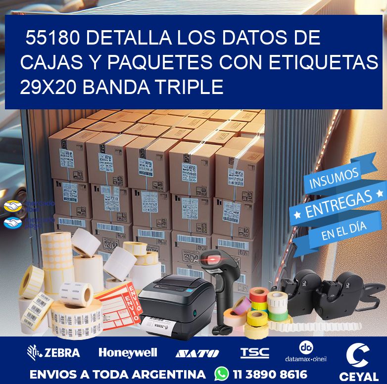 55180 DETALLA LOS DATOS DE CAJAS Y PAQUETES CON ETIQUETAS 29X20 BANDA TRIPLE