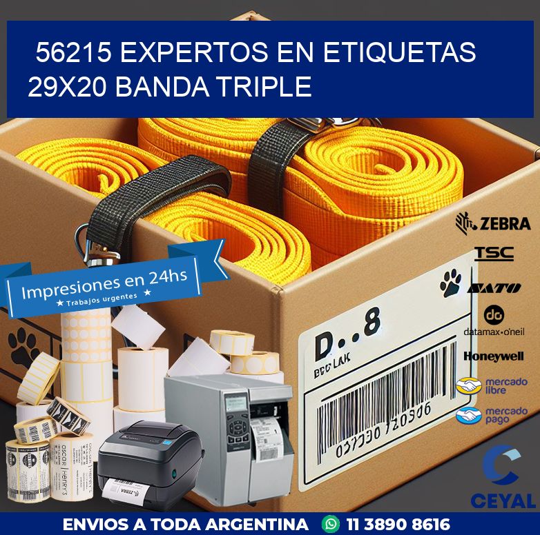 56215 EXPERTOS EN ETIQUETAS 29X20 BANDA TRIPLE