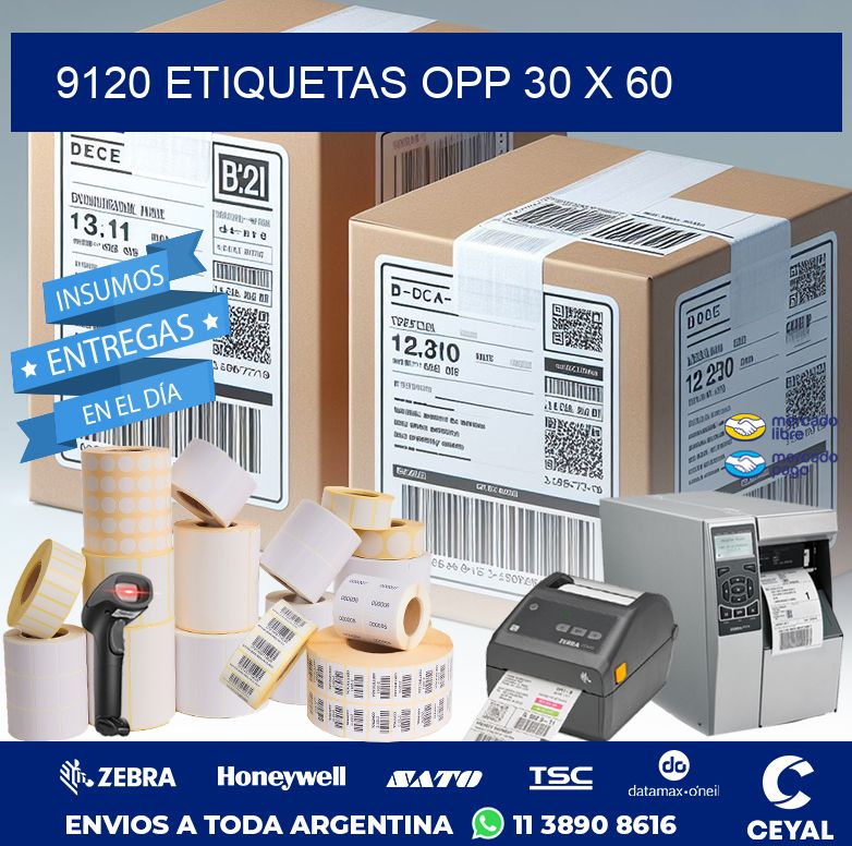 9120 ETIQUETAS OPP 30 X 60