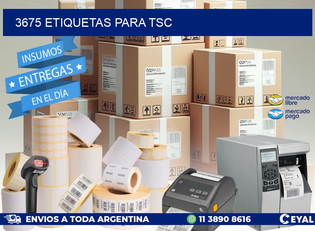 3675 ETIQUETAS PARA TSC