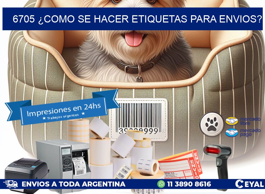 6705 ¿COMO SE HACER ETIQUETAS PARA ENVIOS?
