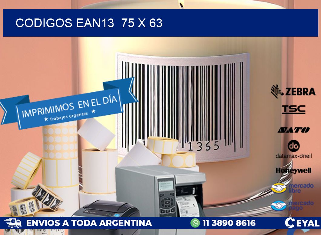 CODIGOS EAN13  75 x 63