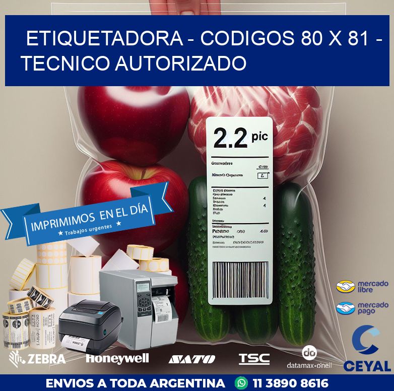 ETIQUETADORA – CODIGOS 80 x 81 – TECNICO AUTORIZADO