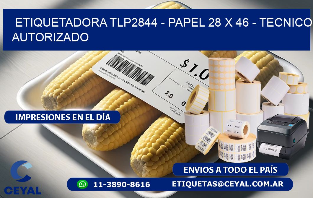 ETIQUETADORA TLP2844 - PAPEL 28 x 46 - TECNICO AUTORIZADO
