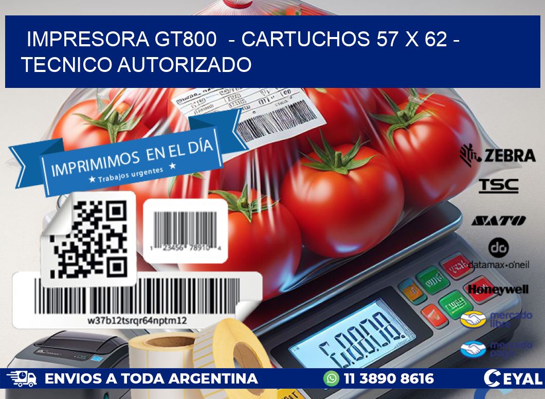 IMPRESORA GT800  - CARTUCHOS 57 x 62 - TECNICO AUTORIZADO