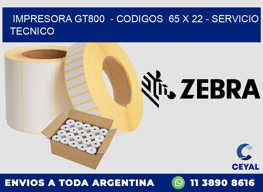 IMPRESORA GT800  - CODIGOS  65 x 22 - SERVICIO TECNICO