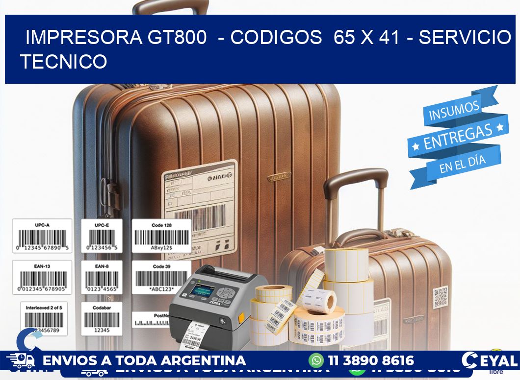 IMPRESORA GT800  - CODIGOS  65 x 41 - SERVICIO TECNICO