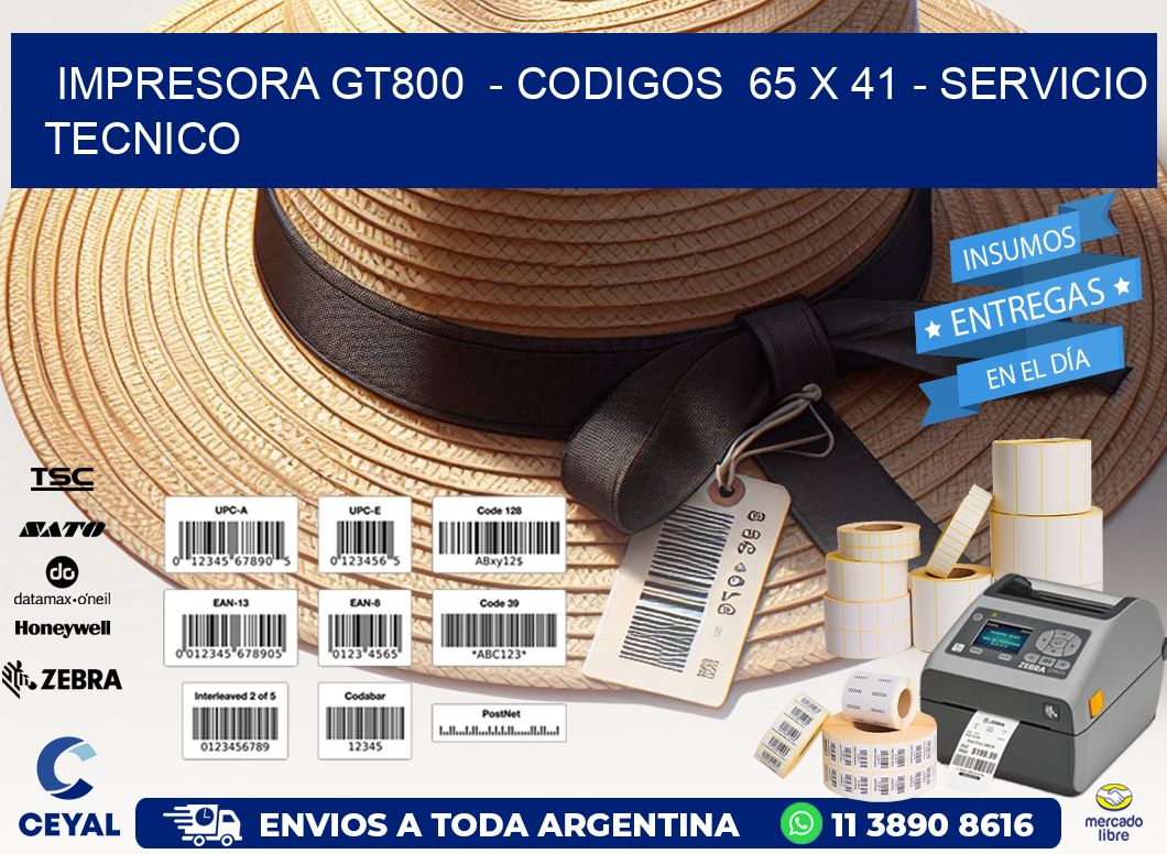 IMPRESORA GT800  - CODIGOS  65 x 41 - SERVICIO TECNICO