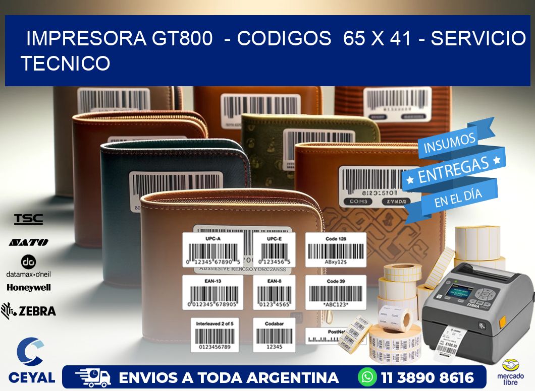 IMPRESORA GT800  - CODIGOS  65 x 41 - SERVICIO TECNICO