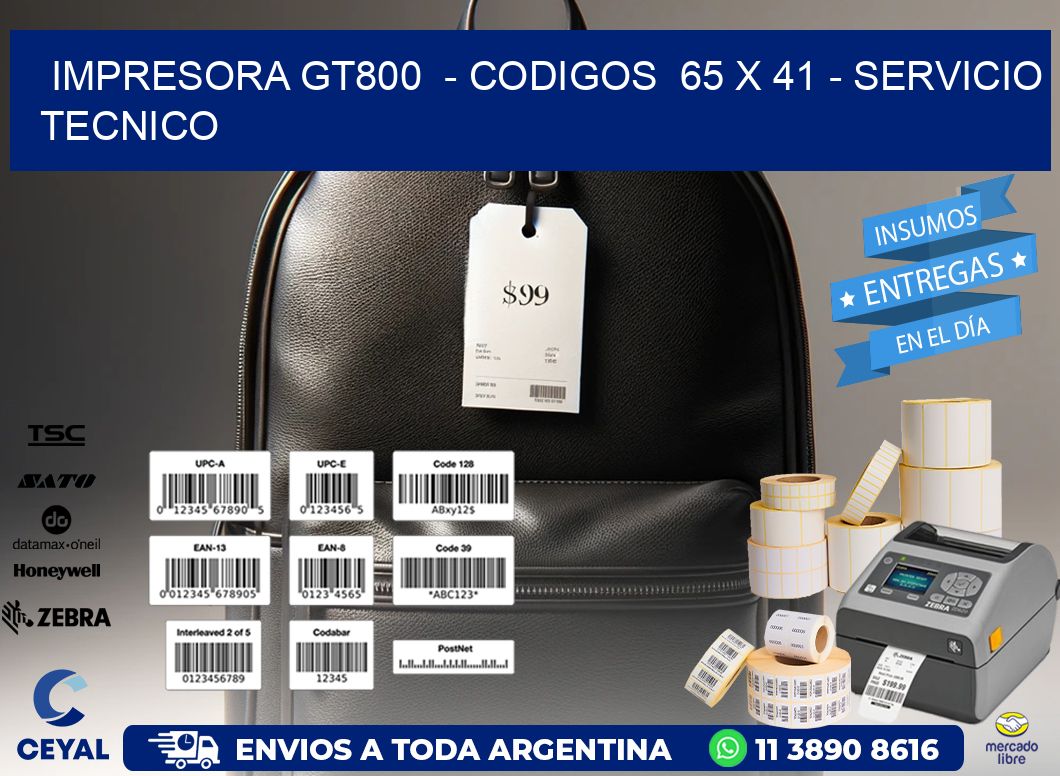 IMPRESORA GT800  – CODIGOS  65 x 41 – SERVICIO TECNICO