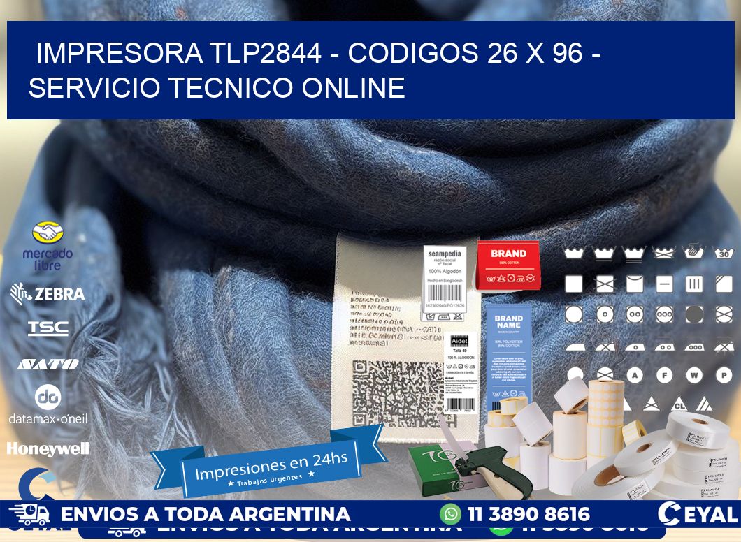 IMPRESORA TLP2844 - CODIGOS 26 x 96 - SERVICIO TECNICO ONLINE