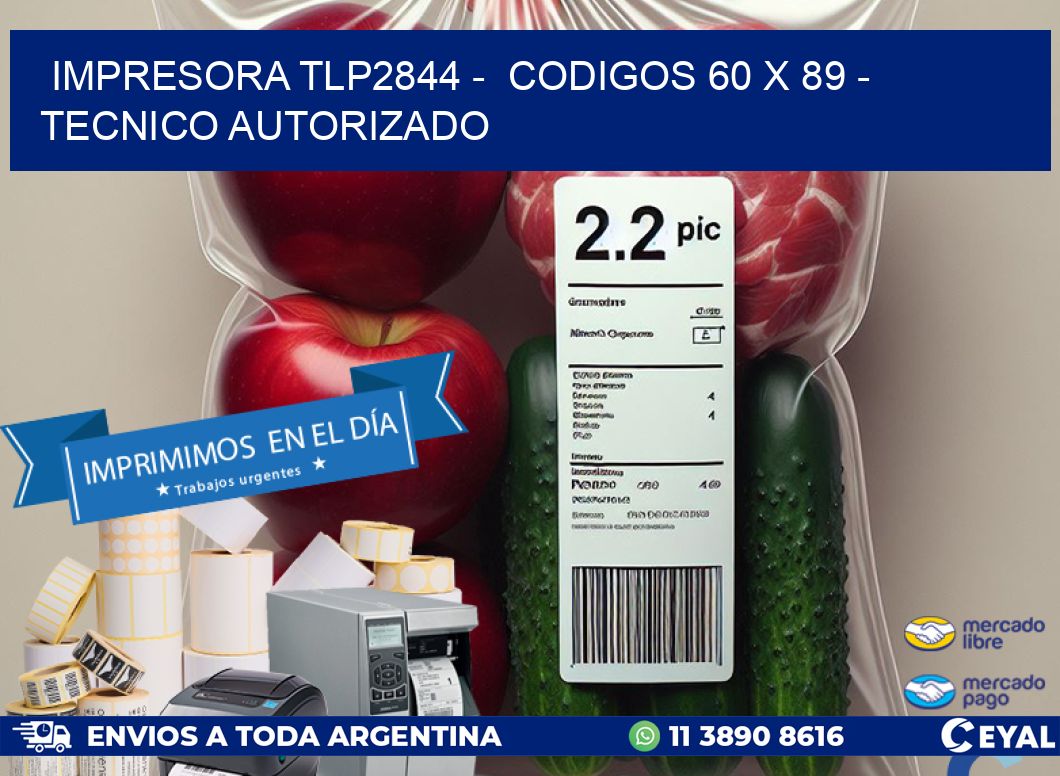 IMPRESORA TLP2844 -  CODIGOS 60 x 89 - TECNICO AUTORIZADO