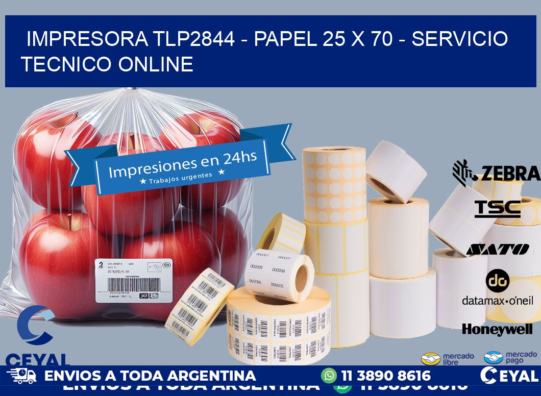 IMPRESORA TLP2844 - PAPEL 25 x 70 - SERVICIO TECNICO ONLINE