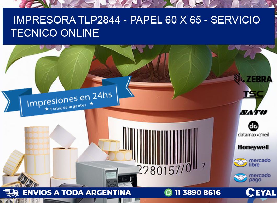 IMPRESORA TLP2844 - PAPEL 60 x 65 - SERVICIO TECNICO ONLINE