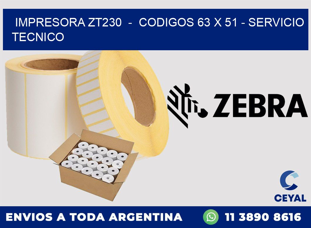 IMPRESORA ZT230  -  CODIGOS 63 x 51 - SERVICIO TECNICO
