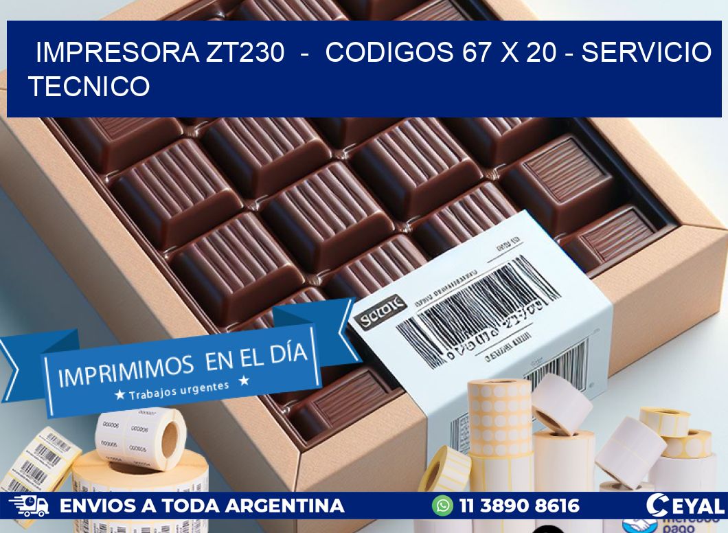 IMPRESORA ZT230  -  CODIGOS 67 x 20 - SERVICIO TECNICO