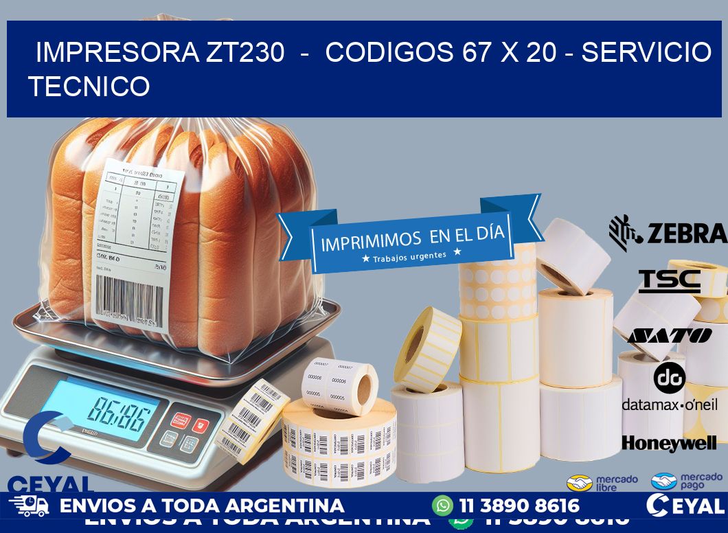 IMPRESORA ZT230  -  CODIGOS 67 x 20 - SERVICIO TECNICO