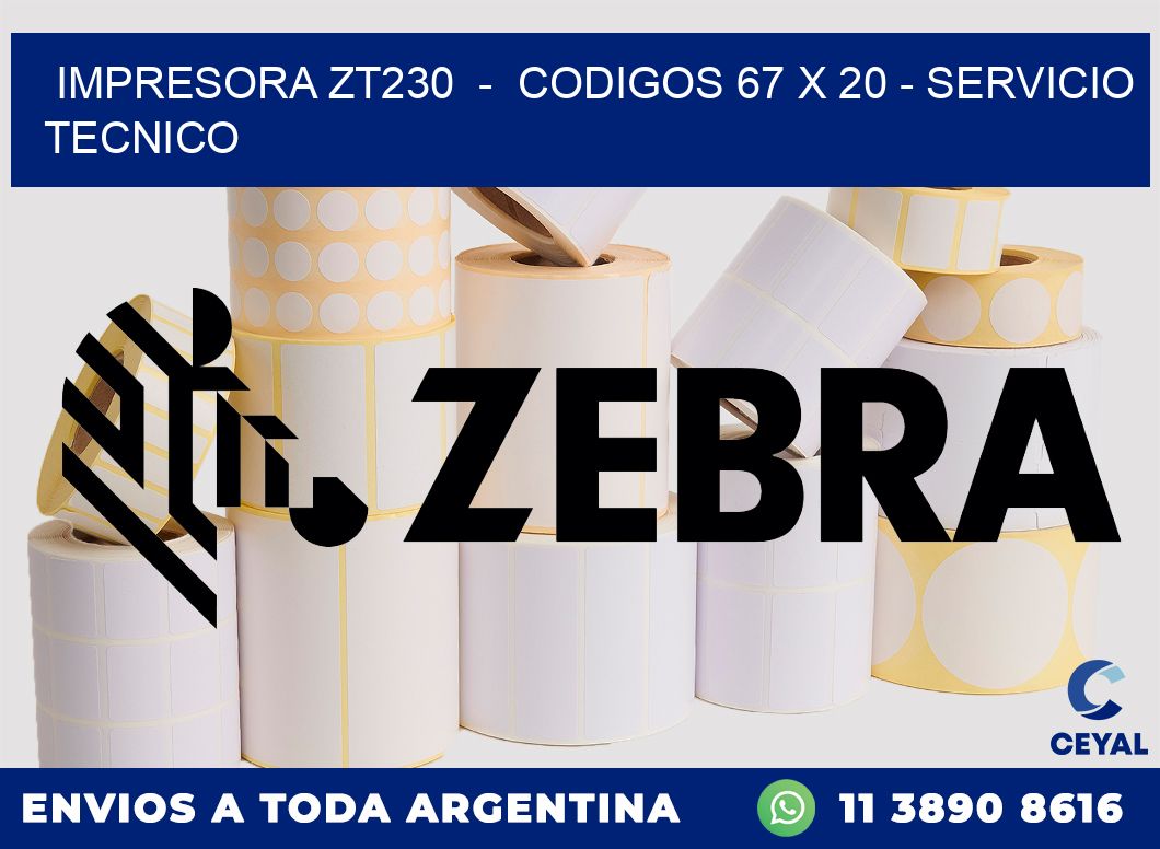 IMPRESORA ZT230  -  CODIGOS 67 x 20 - SERVICIO TECNICO