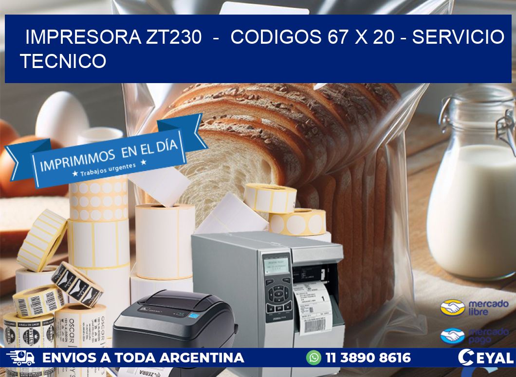 IMPRESORA ZT230  –  CODIGOS 67 x 20 – SERVICIO TECNICO