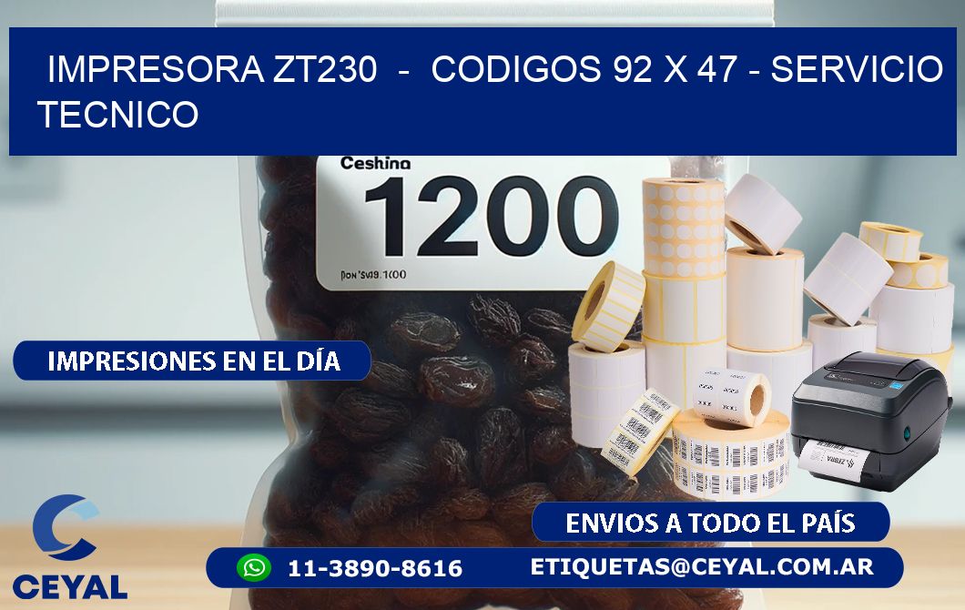 IMPRESORA ZT230  -  CODIGOS 92 x 47 - SERVICIO TECNICO