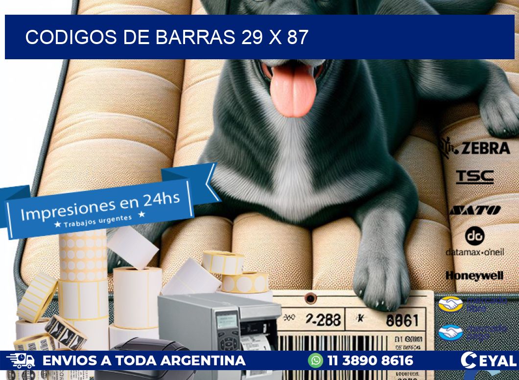 codigos de barras 29 x 87