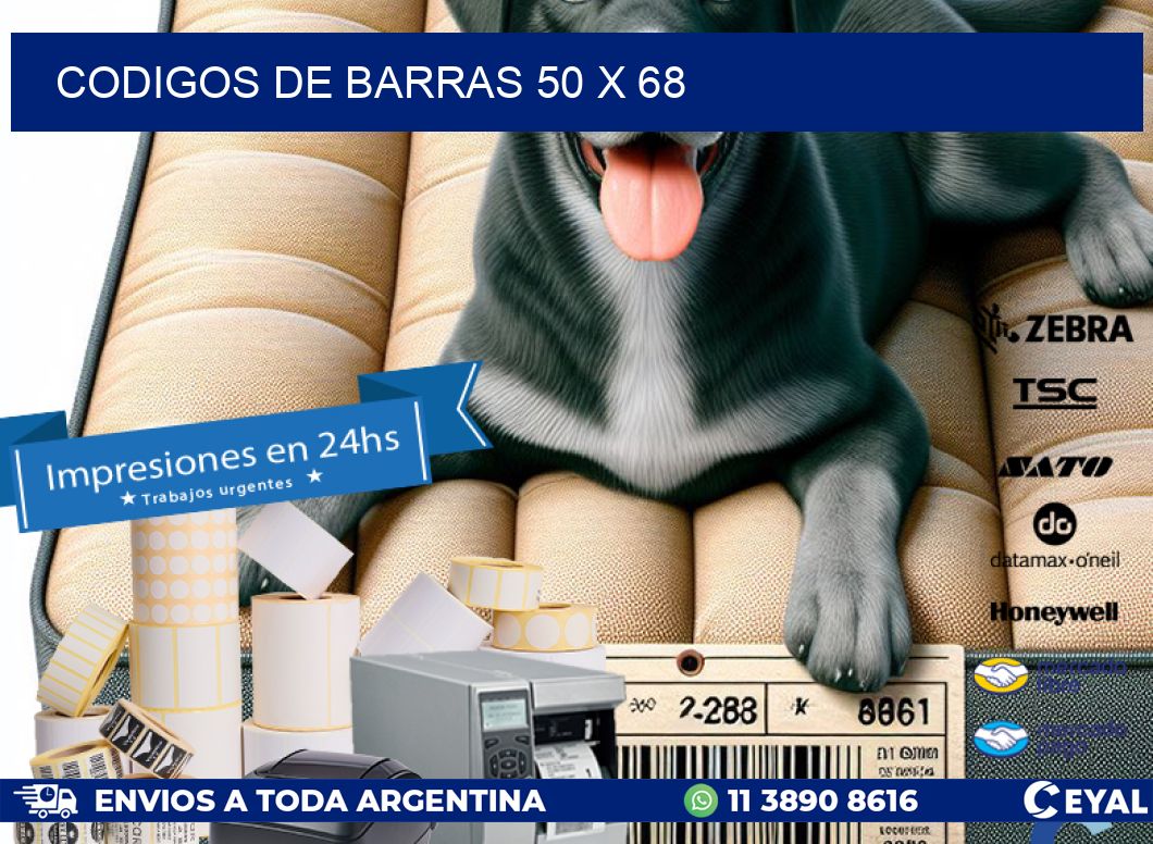 codigos de barras 50 x 68