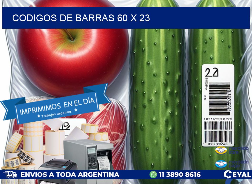 codigos de barras 60 x 23