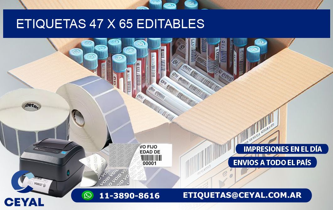 ETIQUETAS 47 x 65 EDITABLES