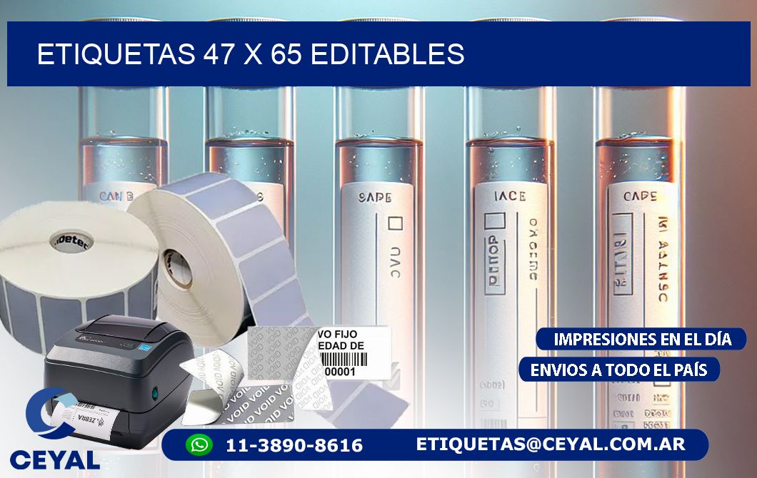 ETIQUETAS 47 x 65 EDITABLES