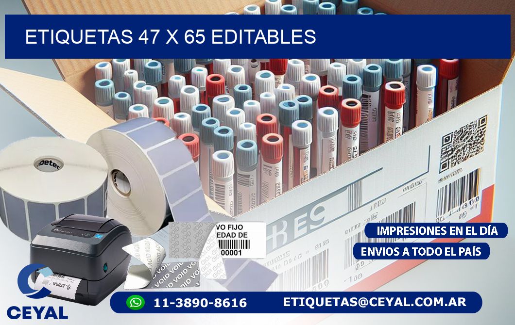 ETIQUETAS 47 x 65 EDITABLES