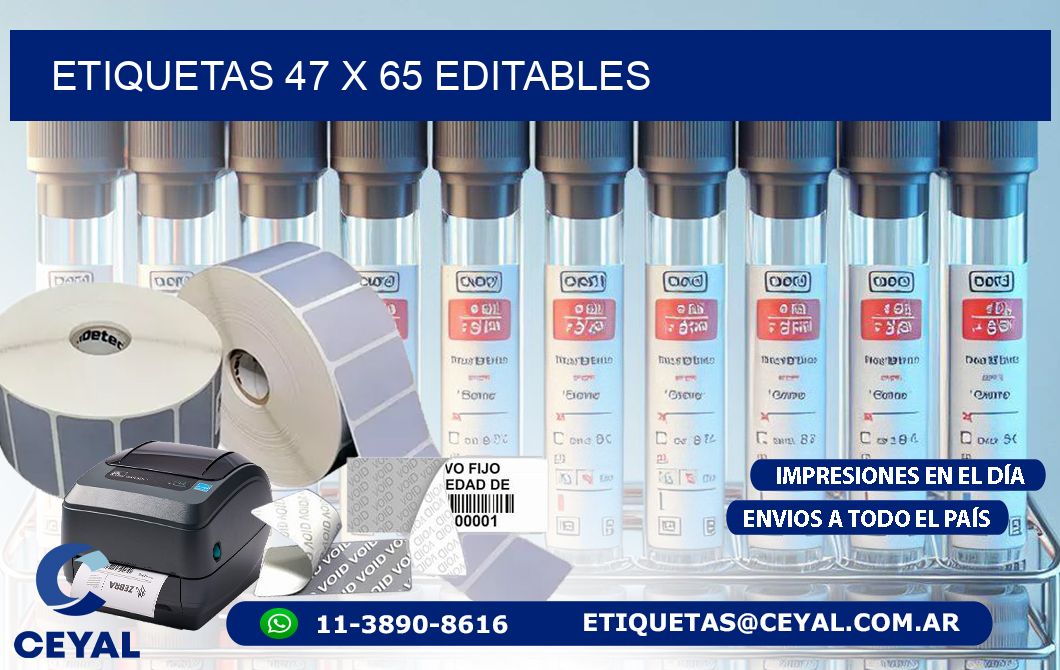 ETIQUETAS 47 x 65 EDITABLES